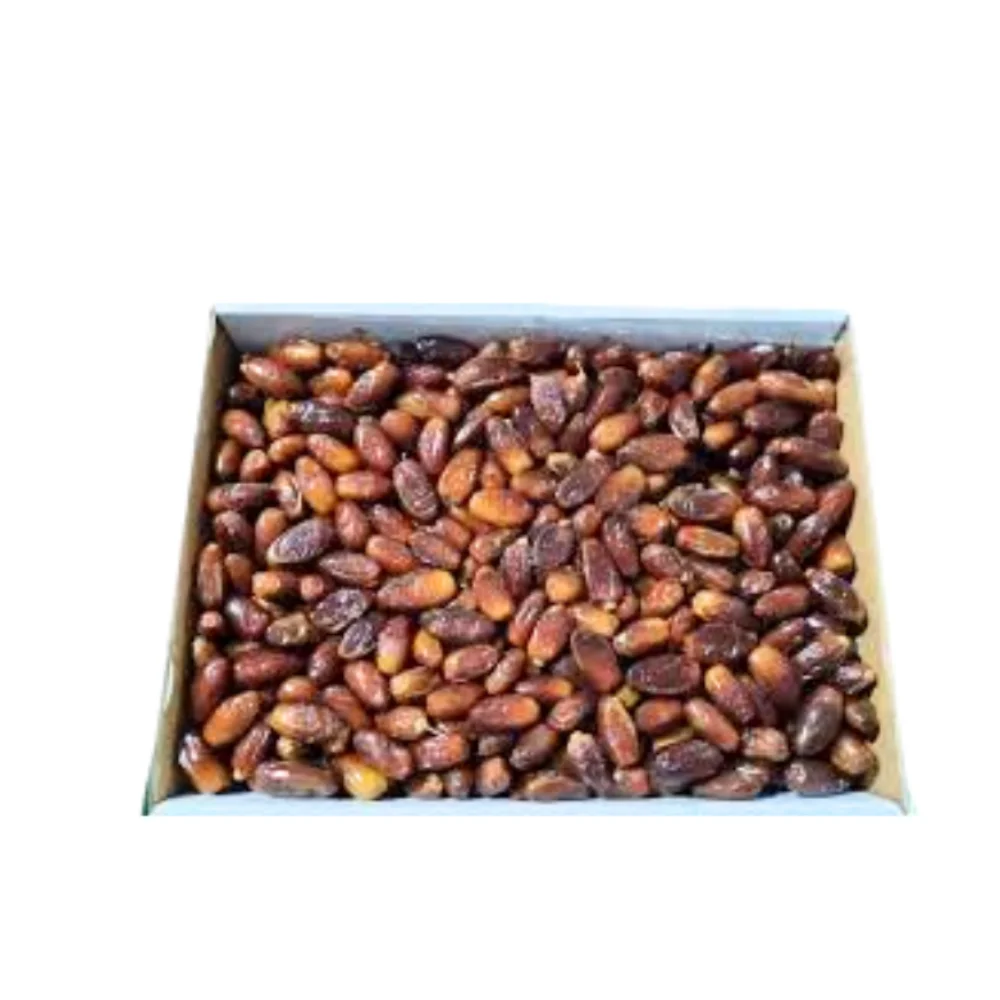 Datil con Carozo Deglet 5KG