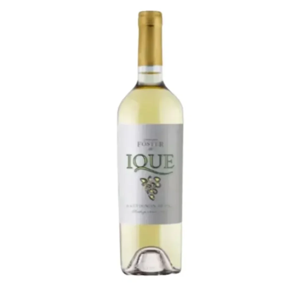 Enrique Foster Ique Sauvignon Blanc 750ML