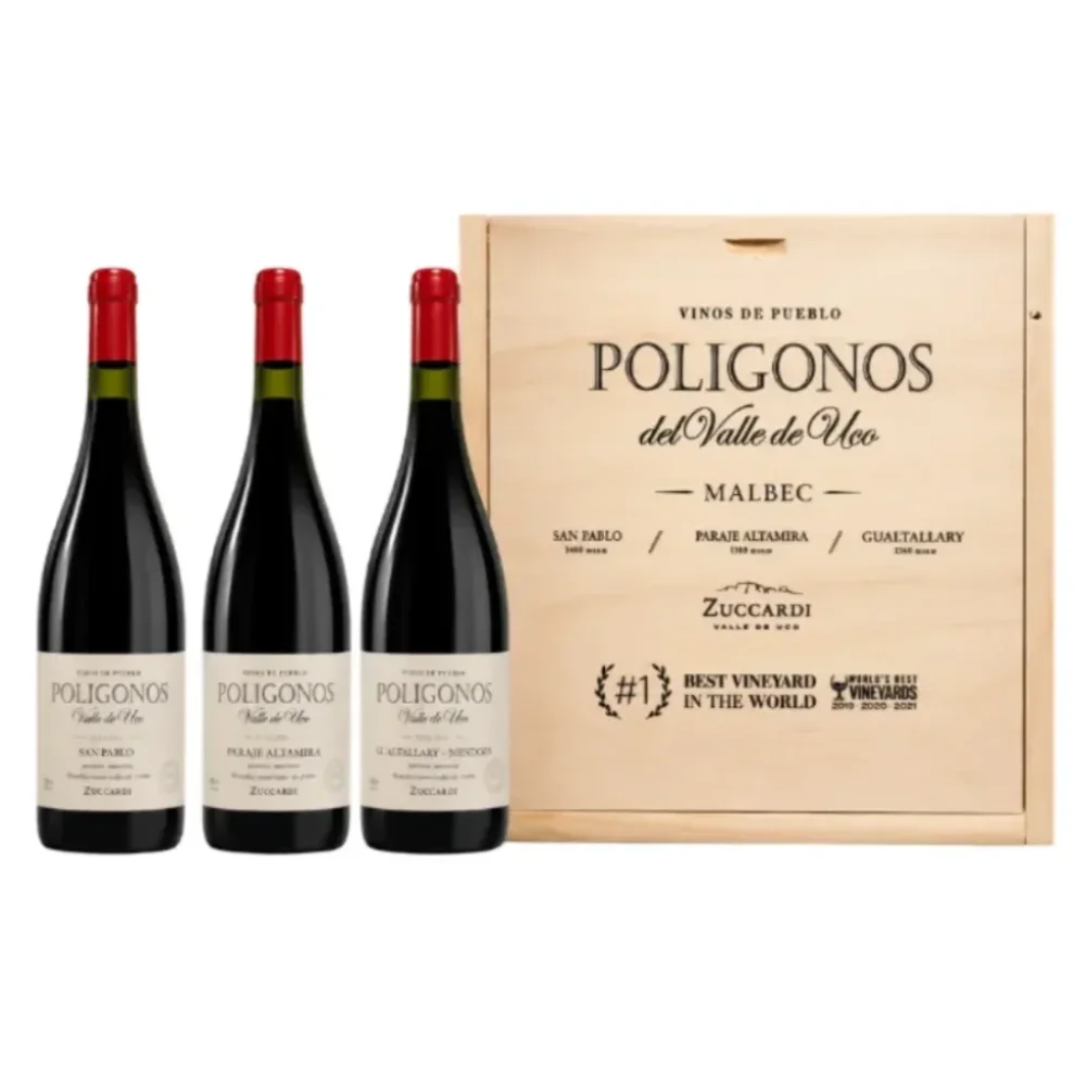 Estuche Malbec San Pablo/ Paraje Alt/ Gualt 750ML X3 Poligonos