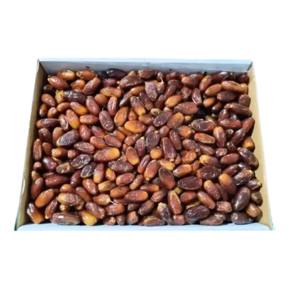 R2) Datil sin Carozo Deglet 5KG